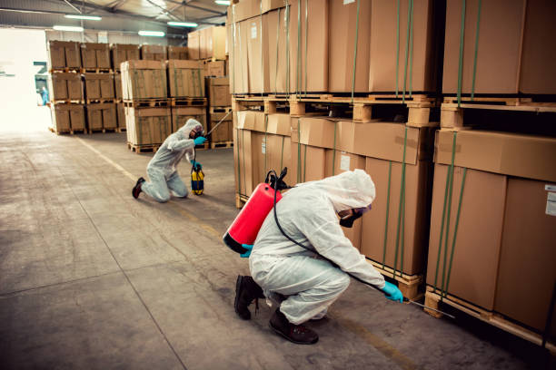 Best Exterminator Services  in Fort Pierce, FL