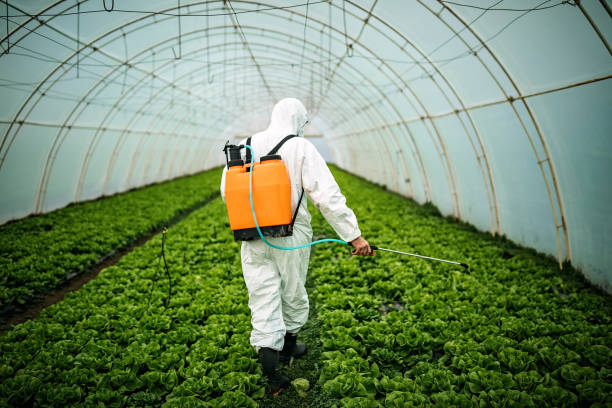 Best Mosquito Control Services  in Fort Pierce, FL
