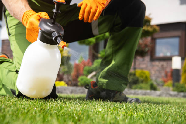 Pest Prevention Services in Fort Pierce, FL
