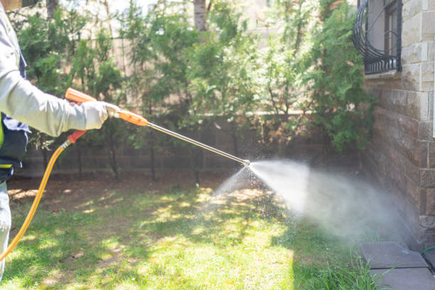Trusted Fort Pierce, FL Pest Control Experts